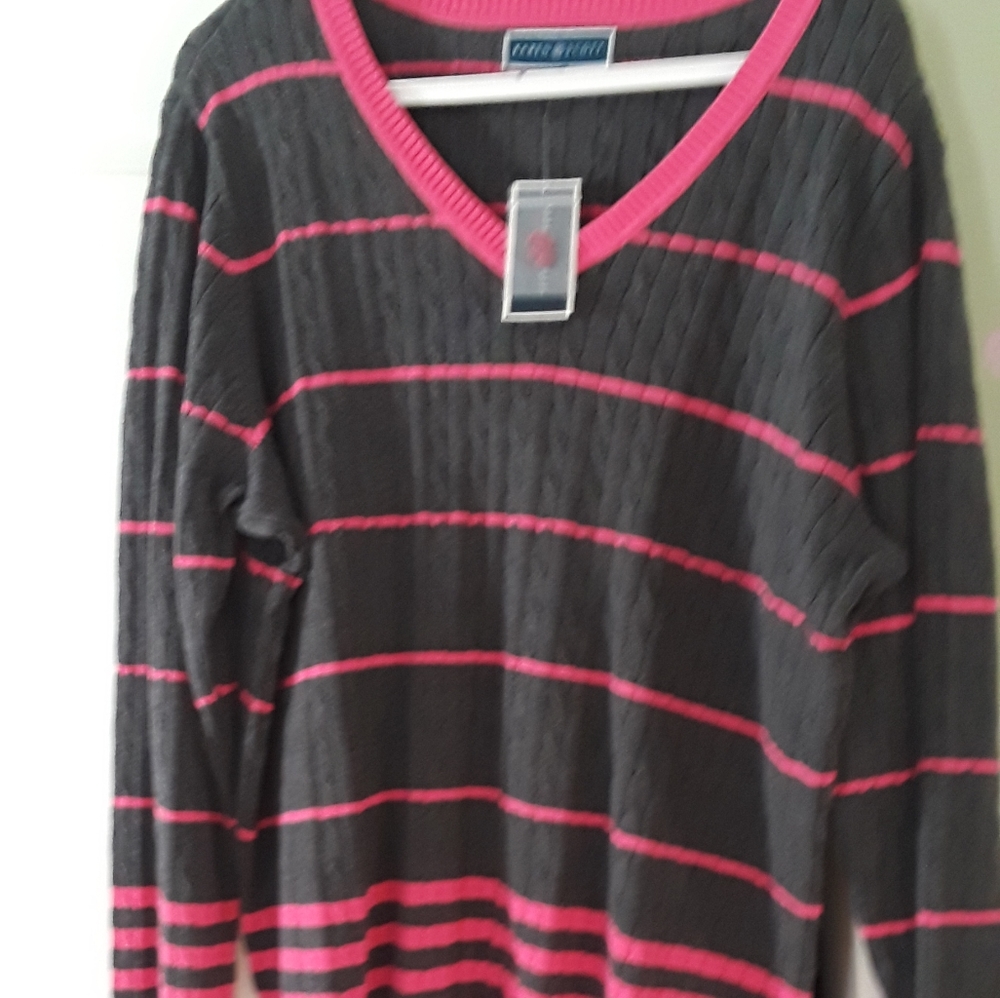 Karen Scott V neck sweater